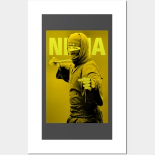 ninja Posters and Art